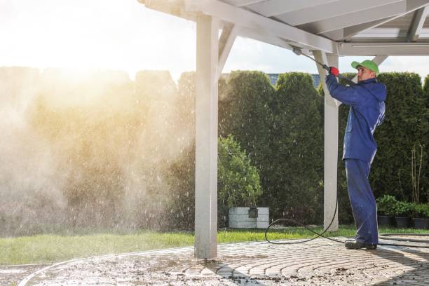 Best Dumpster Area Cleaning  in Al Creek, CO